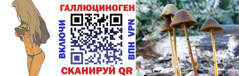 сколько стоит  Западная Двина  Псилоцибиновые грибы MAGIC MUSHROOMS 