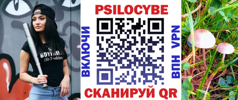 Псилоцибиновые грибы прущие грибы Западная Двина