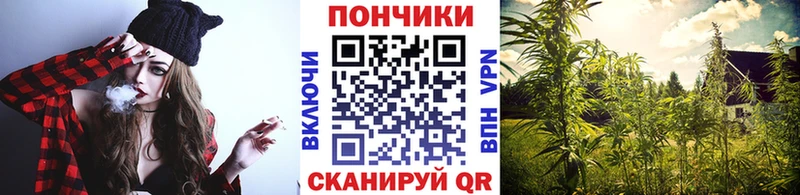 Конопля THC 21%  Западная Двина 